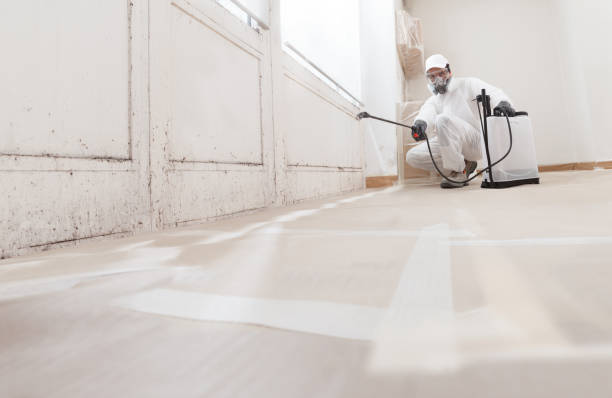 24/7 Emergency Mold Remediation experts in Wilmington, IL